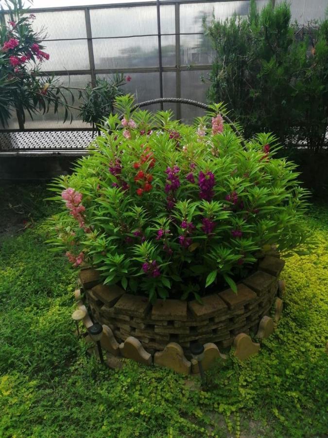 טסנדריפש Primorie Guest House מראה חיצוני תמונה